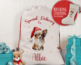 Personalised Papillon Dog Large Christmas Sack - Red Drawstring Bag for Xmas Presents - Christmas Eve Bag Box Decoration for Dogs XS134