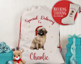 Personalised Pekingese Dog Large Christmas Sack - Red Drawstring Bag for Xmas Presents - Christmas Eve Bag Box Decoration for Dogs XS135