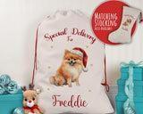 Personalised Pomeranian Large Christmas Sack - Red Drawstring Bag for Xmas Presents - Christmas Eve Bag Box Decoration for Dogs XS137