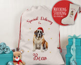 Personalised Saint St Bernard Large Christmas Sack - Red Drawstring Bag for Xmas Presents - Christmas Eve Bag Box Decoration for Dogs XS142