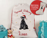 Personalised Schnauzer Dog Large Christmas Sack - Red Drawstring Bag for Xmas Presents - Christmas Eve Bag Box Decoration for Dogs XS144