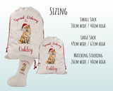 Personalised Shiba Inu Dog Large Christmas Sack - Red Drawstring Bag for Xmas Presents - Christmas Eve Bag Box Decoration for Dogs XS147