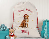 Personalised Nova Scotia Duck Tolling Retriever Large Christmas Sack - Bag for Xmas Presents Christmas Eve Bag Box Decoration for Dogs XS133