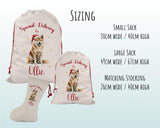 Personalised Akita Inu Large Christmas Sack - Red Drawstring Bag for Xmas Presents - Christmas Eve Bag Box Decoration for Dogs XS066