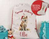 Personalised Akita Inu Large Christmas Sack - Red Drawstring Bag for Xmas Presents - Christmas Eve Bag Box Decoration for Dogs XS066