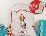 Personalised Beagle Dog Large Christmas Sack - Red Drawstring Bag for Xmas Presents - Christmas Eve Bag Box Decoration for Dogs XS072