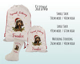 Personalised Dachshund Large Christmas Sack - Red Drawstring Bag for Xmas Presents - Christmas Eve Bag Box Decoration for Dogs XS090