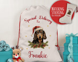 Personalised Dachshund Large Christmas Sack - Red Drawstring Bag for Xmas Presents - Christmas Eve Bag Box Decoration for Dogs XS090