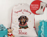 Personalised Dachshund Large Christmas Sack - Red Drawstring Bag for Xmas Presents - Christmas Eve Bag Box Decoration for Dogs XS091