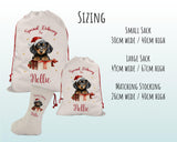 Personalised Dachshund Large Christmas Sack - Red Drawstring Bag for Xmas Presents - Christmas Eve Bag Box Decoration for Dogs XS092