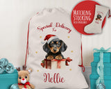 Personalised Dachshund Large Christmas Sack - Red Drawstring Bag for Xmas Presents - Christmas Eve Bag Box Decoration for Dogs XS092