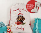 Personalised Dachshund Large Christmas Sack - Red Drawstring Bag for Xmas Presents - Christmas Eve Bag Box Decoration for Dogs XS093