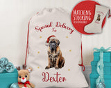 Personalised English Mastiff Large Christmas Sack - Red Drawstring Bag for Xmas Presents - Christmas Eve Bag Box Decoration for Dogs XS101