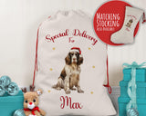 Personalised English Springer Spaniel Large Christmas Sack Drawstring Bag for Xmas Presents Christmas Eve Bag Box Decoration for Dogs XS102