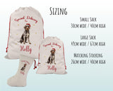 Personalised German Wire Haired Pointer Large Christmas Sack - Drawstring Bag Xmas Presents Christmas Eve Bag Box Decoration for Dogs XS108