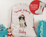 Personalised Japanese Chin Large Christmas Sack - Red Drawstring Bag for Xmas Presents - Christmas Eve Bag Box Decoration for Dogs XS118