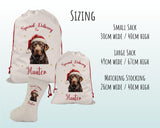 Personalised Chocolate Labrador Large Christmas Sack - Red Drawstring Bag for Xmas Presents Christmas Eve Bag Box Decoration for Dogs XS122