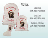 Personalised Chocolate Labrador Large Christmas Sack - Red Drawstring Bag for Xmas Presents Christmas Eve Bag Box Decoration for Dogs XS123