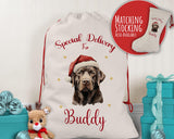 Personalised Chocolate Labrador Large Christmas Sack - Red Drawstring Bag for Xmas Presents Christmas Eve Bag Box Decoration for Dogs XS123