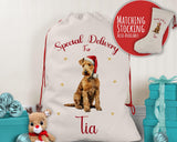 Personalised Lakeland Terrier Large Christmas Sack - Red Drawstring Bag for Xmas Presents - Christmas Eve Bag Box Decoration for Dogs XS126