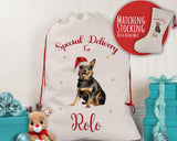 Personalised Lancashire Heeler Large Christmas Sack - Red Drawstring Bag for Xmas Presents - Christmas Eve Bag Box Decoration for Dogs XS127