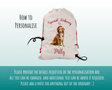 Personalised Nova Scotia Duck Tolling Retriever Large Christmas Sack - Bag for Xmas Presents Christmas Eve Bag Box Decoration for Dogs XS133