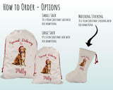 Personalised Nova Scotia Duck Tolling Retriever Large Christmas Sack - Bag for Xmas Presents Christmas Eve Bag Box Decoration for Dogs XS133