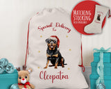 Personalised Rottweiler Dog Large Christmas Sack - Red Drawstring Bag for Xmas Presents - Christmas Eve Bag Box Decoration for Dogs XS140