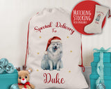 Personalised Samoyed Dog Large Christmas Sack - Red Drawstring Bag for Xmas Presents - Christmas Eve Bag Box Decoration for Dogs XS143