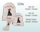 Personalised Schnauzer Dog Large Christmas Sack - Red Drawstring Bag for Xmas Presents - Christmas Eve Bag Box Decoration for Dogs XS144