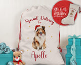 Personalised Shetland Sheepdog Sheltie Large Christmas Sack Drawstring Bag for Xmas Presents Christmas Eve Bag Box Decoration for Dogs XS146