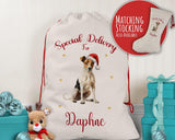 Personalised Smooth Coat Terrier Large Christmas Sack - Red Drawstring Bag for Xmas Presents Christmas Eve Bag Box Decoration for Dogs XS150