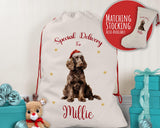 Personalised Spaniel Dog Large Christmas Sack - Red Drawstring Bag for Xmas Presents - Christmas Eve Bag Box Decoration for Dogs XS151
