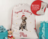 Personalised Weimaraner Dog Large Christmas Sack - Red Drawstring Bag for Xmas Presents - Christmas Eve Bag Box Decoration for Dogs XS153