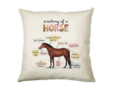 Anatomy of a Horse Cushion - Funny Gift For Him Or Her Pony Equestrian Design CD456C