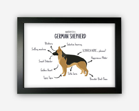 Anatomy of a German Shepherd Funny Gift For Him Or Her Word Art Wall Friends Prints ST049