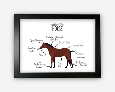Anatomy of a Horse Pony Funny Gift For Him Or Her Word Art Wall Friends Prints ST065