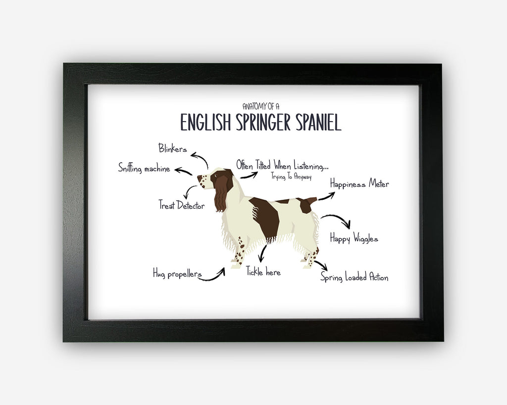 Anatomy of an English Springer Spaniel Funny Personalised Gift For Him GiftedTurtles
