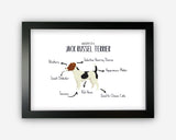 Anatomy of a Jack Russel Terrier Funny Gift For Him Or Her Word Art Wall Friends Prints ST062