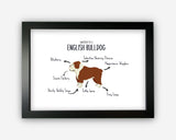 Anatomy of a English Bulldog Funny Gift For Him Or Her Word Art Wall Friends Prints ST060