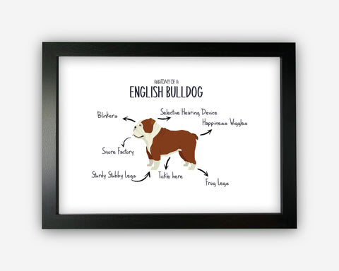 Anatomy of a English Bulldog Funny Gift For Him Or Her Word Art Wall Friends Prints ST060