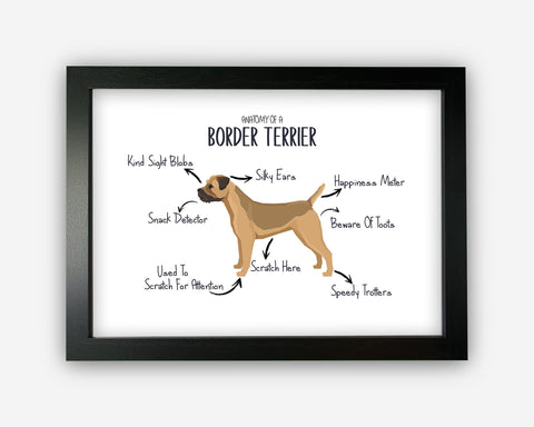 Anatomy of a Border Terrier Funny Gift For Him Or Her Word Art Wall Friends Prints ST089