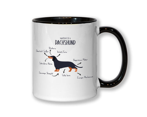 Anatomy of a Dachshund Mug Gift - Funny Dachshund Ceramic Coffee Mug For Him Or Her Dog Lover Gift MGZ416